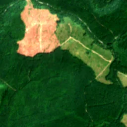 Pierce County in 2017