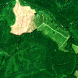 Pierce County in 2019