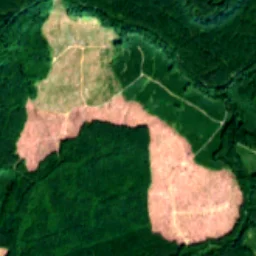 Pierce County in 2021