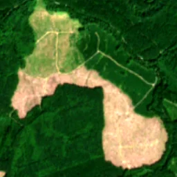 Pierce County in 2022