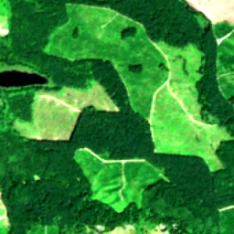 King County in 2019