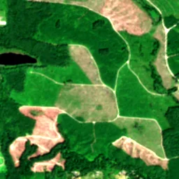 King County in 2025