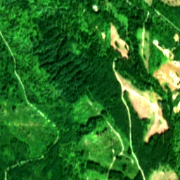 Snohomish County in 2019