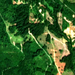 Snohomish County in 2021