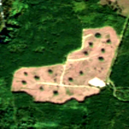 Snohomish County in 2020