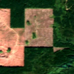 Jefferson County in 2020