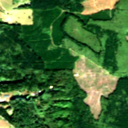 Kitsap County in 2020