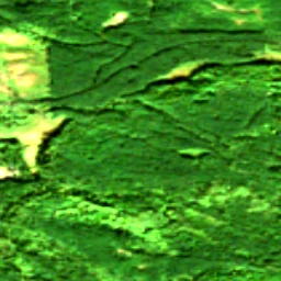 Snohomish County in 2017
