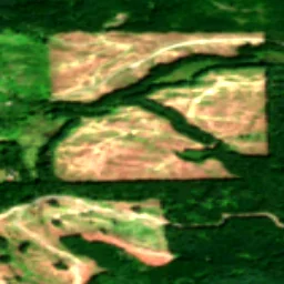 Snohomish County in 2019