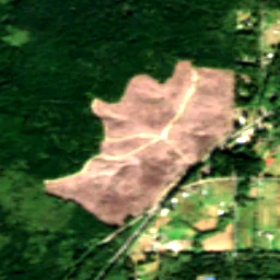 Kitsap County in 2020