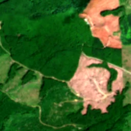 Pierce County in 2019