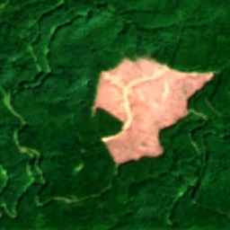 Pierce County in 2019