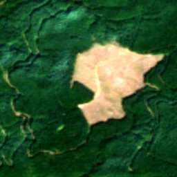Pierce County in 2021