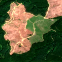 Pierce County in 2025