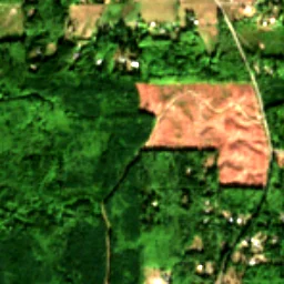 Hansville in 2017