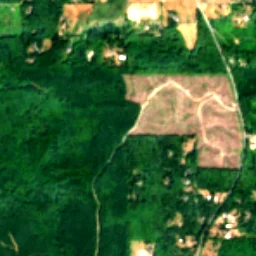 Hansville in 2018
