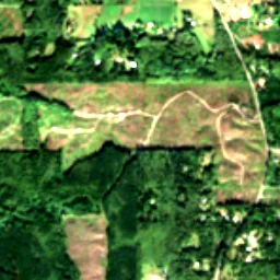 Hansville in 2020